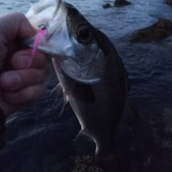 新地開拓の末に