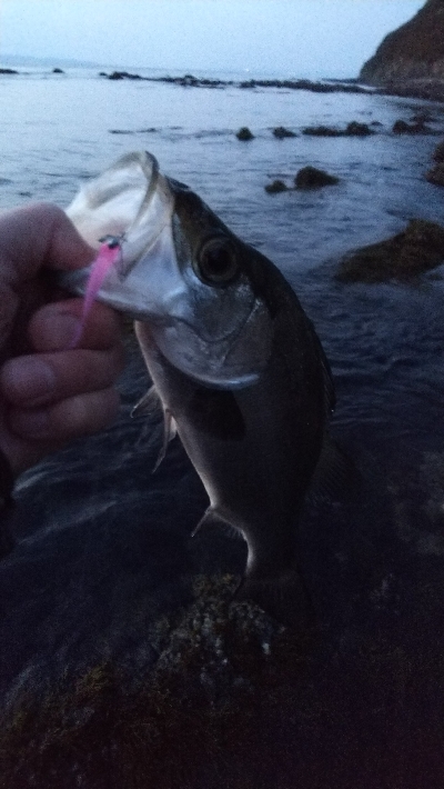 新地開拓の末に