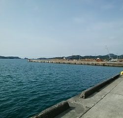 久しぶりの釣行