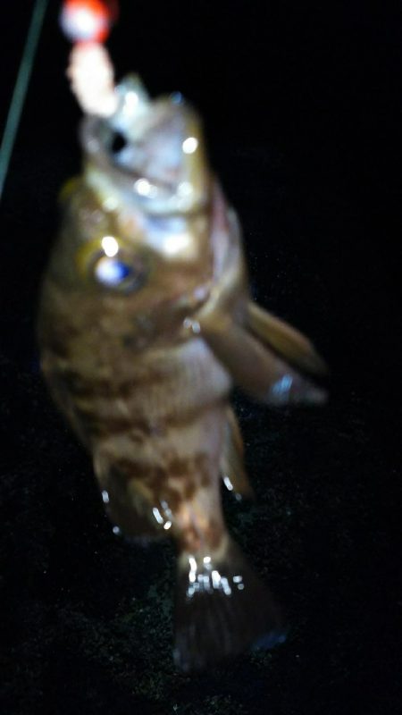 様子がおかしい