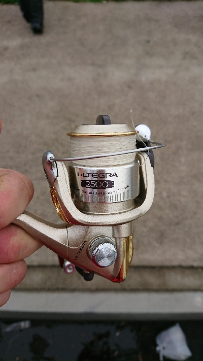 釣り部 釣行記 １３