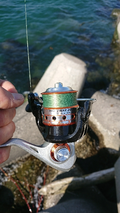 釣り部釣行記 14