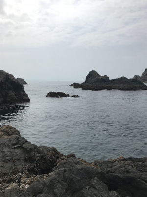 御五神島 沖磯グレ