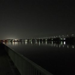 癒しのチニング