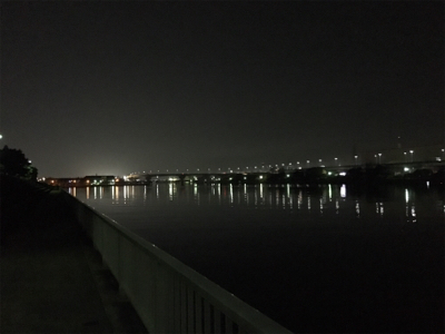 癒しのチニング