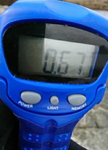 エギング釣行その13