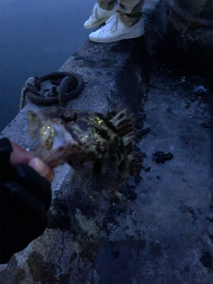 ライトゲーム良き！