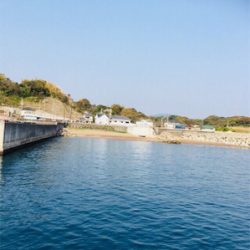 楽しみました。