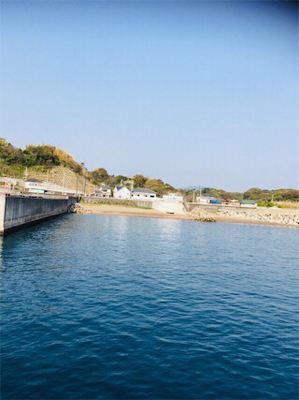 楽しみました。