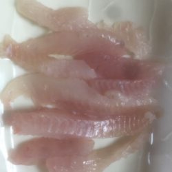 メバリングに取り憑かれて