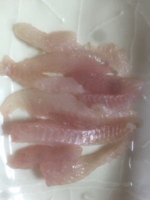 メバリングに取り憑かれて