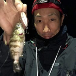 ナイトプラッキングゲーム♪GUNNING-STYLE