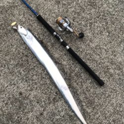 まさかのドラゴン！