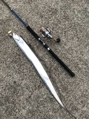 まさかのドラゴン！