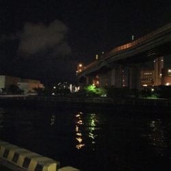 キビレゲット！