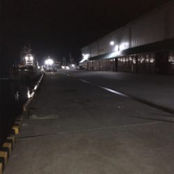 暴風雨アジング