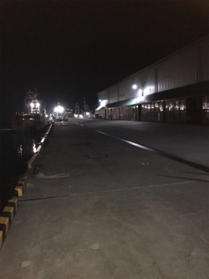 暴風雨アジング