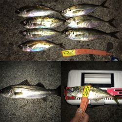 久しぶりにニコニコ！