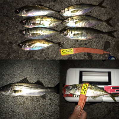 久しぶりにニコニコ！