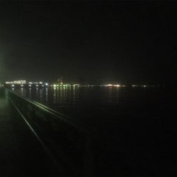 牛乳パック大メバル！