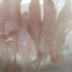 2打数1安打やけど幸せ