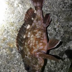 海太郎さんまじパネェッす