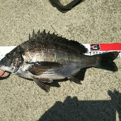 ズボ釣りで満足釣行