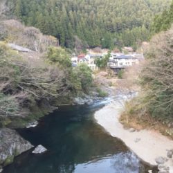 今年は小さい？