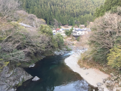 今年は小さい？