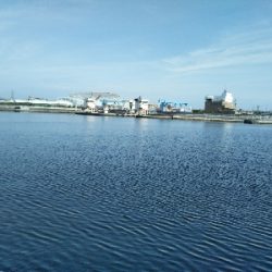 今日も懲りずにフカセチヌ