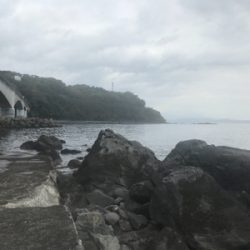 裏切らないカサゴくん