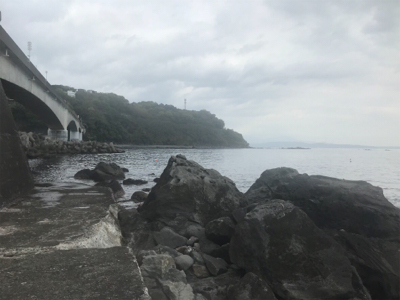 裏切らないカサゴくん