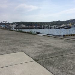 尺手前サイズ 朝マズメにて