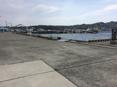 尺手前サイズ 朝マズメにて