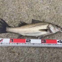 雨上がりの昼下がり