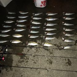 いまはココがアツイ！(釣行 其の拾七)