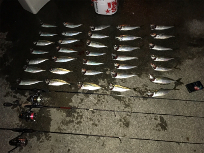 いまはココがアツイ！(釣行 其の拾七)