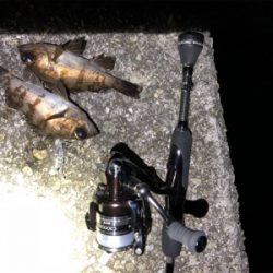 福良ライトゲーム