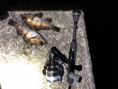 福良ライトゲーム