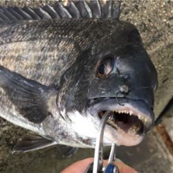 雨が降るなか釣りに行きました