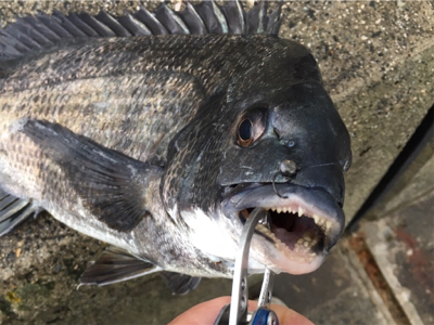 雨が降るなか釣りに行きました
