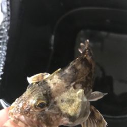 子供とキワ釣り♪