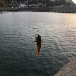 久しぶりの釣行！