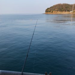 とっとぱーくパワー