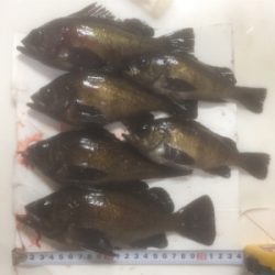 ワークメバリングバランス