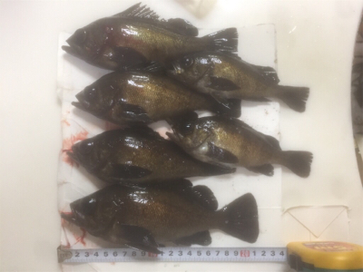 ワークメバリングバランス