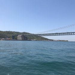 鯛サビキ  魚英