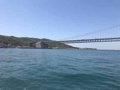 鯛サビキ  魚英