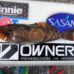 久々にちゃんと投げ釣り