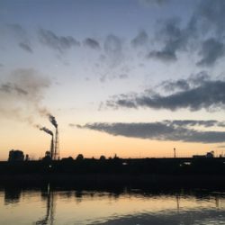 キビレは裏切らない